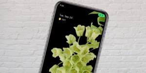 Android Yeşil Nokta