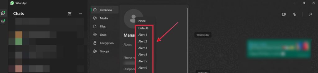 Whatsapp Kişiye Özel Bildirim Sesi